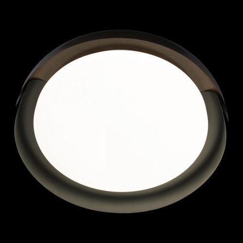 Накладной светильник Loft it Coin 10198 Black в Нижнем Новгороде фото 3