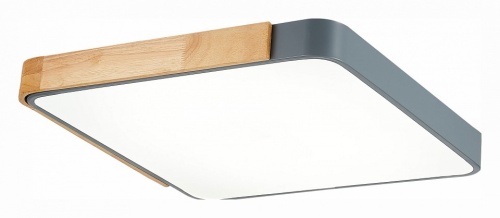 Накладной светильник EVOLUCE Festa SLE201272-01 в Нижнем Новгороде фото 2