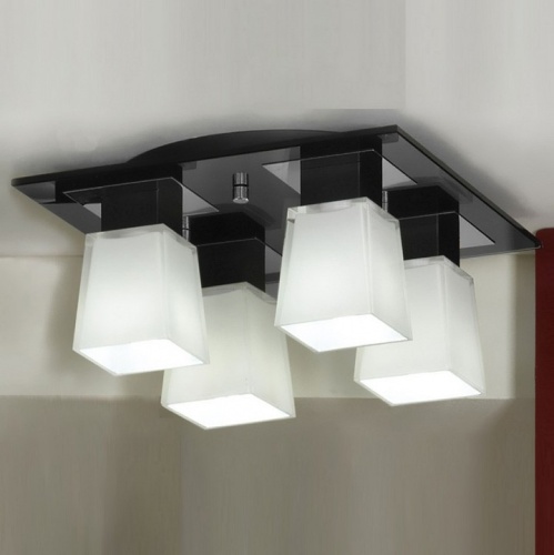 Накладной светильник Lussole Lente LSC-2507-04 в Нижнем Новгороде фото 2