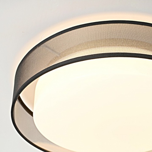 Накладной светильник Imperiumloft Vedum01 179851-26 в Нижнем Новгороде фото 3