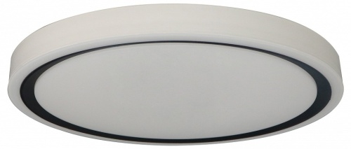 Накладной светильник Zortes Bella ZRS.1201.04 в Нижнем Новгороде фото 4