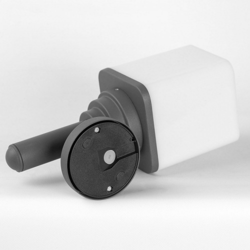 Светильник на штанге LGO  LSP-8956 в Нижнем Новгороде фото 2