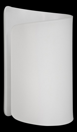 Накладной светильник Lightstar Pittore 811610 в Нижнем Новгороде фото 3