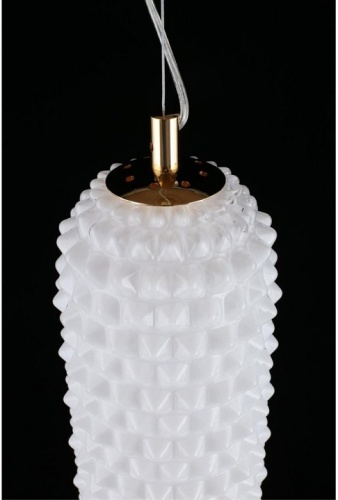 Подвесной светильник Aployt Ozeynn APL.332.06.22 в Нижнем Новгороде фото 7