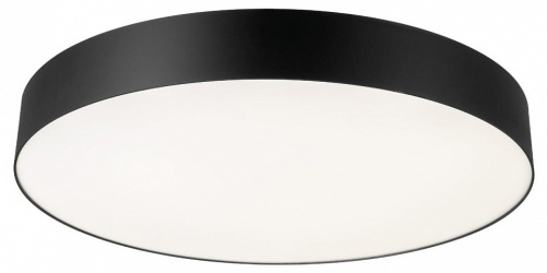 Накладной светильник Citilux BART CL755491 в Нижнем Новгороде