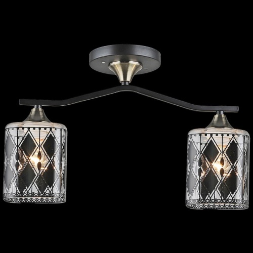 Светильник на штанге 01700 01700-0.3-02 в Нижнем Новгороде фото 4