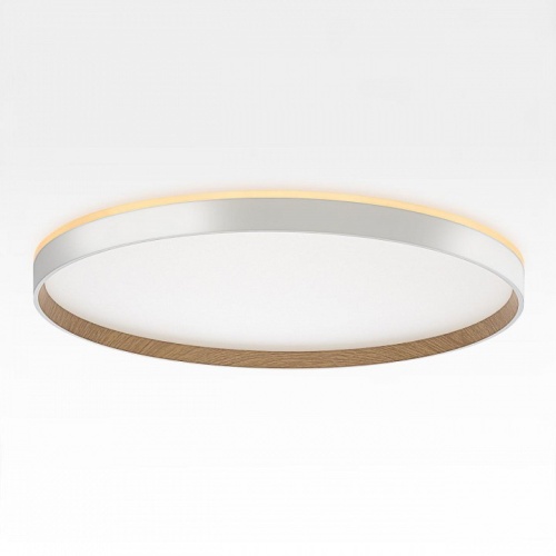 Накладной светильник Citilux ETALON CL750500R в Нижнем Новгороде фото 5