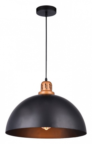 Подвесной светильник Arte Lamp Eurica A4249SP-1BK в Голицыно фото 2