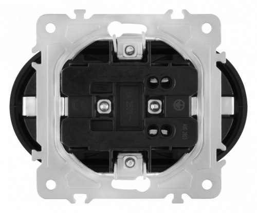 Розетка двойная с заземлением, без рамки Arte Milano am-202 202.40-2.shampan в Нижнем Новгороде фото 5