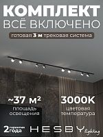 Комплект трековый Hesby Lighting Skylite №13 HSBL_kompl_S013_VI3B3K в Нижнем Новгороде