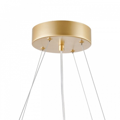 Подвесная люстра Favourite Asterismo 4448-6P в Нижнем Новгороде фото 2