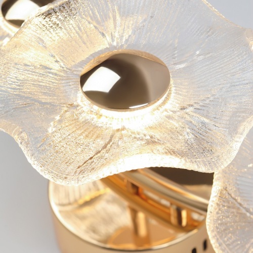 Накладной светильник Rivoli Shannon Б0061948 в Нижнем Новгороде фото 5