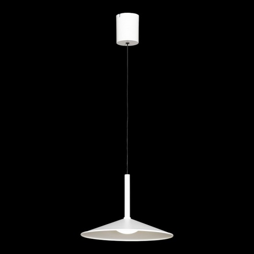 Подвесной светильник Lussole REFUGIO LSP-7432 в Нижнем Новгороде фото 8