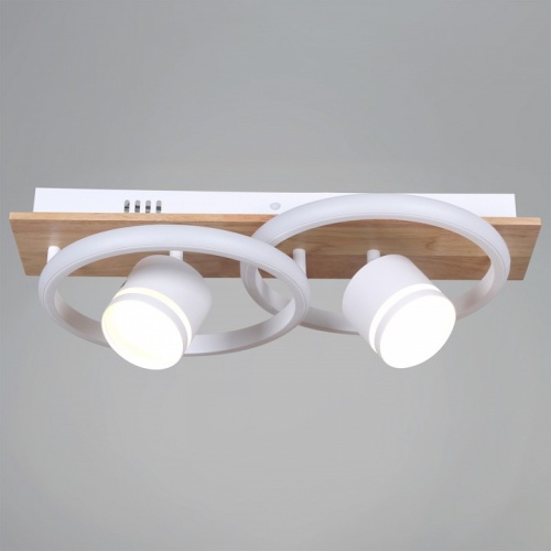 Накладной светильник 29560-0.3-2+2 WH+WOOD в Нижнем Новгороде фото 5