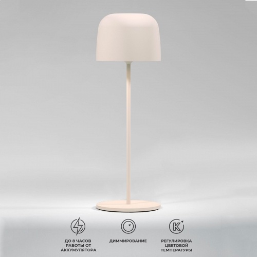 Настольная лампа декоративная Elektrostandard Bitty a069003 в Нижнем Новгороде фото 5