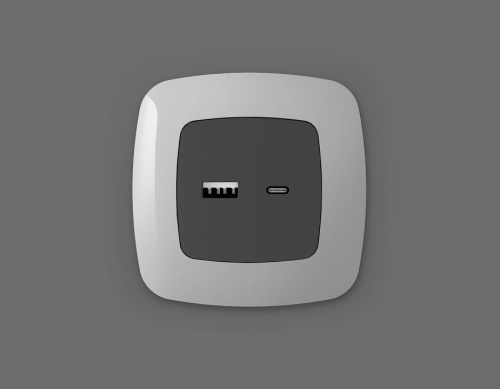 Накладка для розетки type A и C Ambrella Volt OMEGA OP9110 в Нижнем Новгороде фото 2