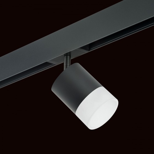 Светильник на штанге Lightstar Rullo PRO348781 в Нижнем Новгороде фото 4