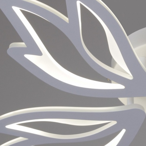 Потолочная люстра 09862-0.3-05 WH в Нижнем Новгороде фото 3