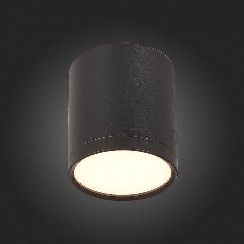 Накладной светильник ST-Luce Rene ST113.432.05 в Кропоткине фото 4
