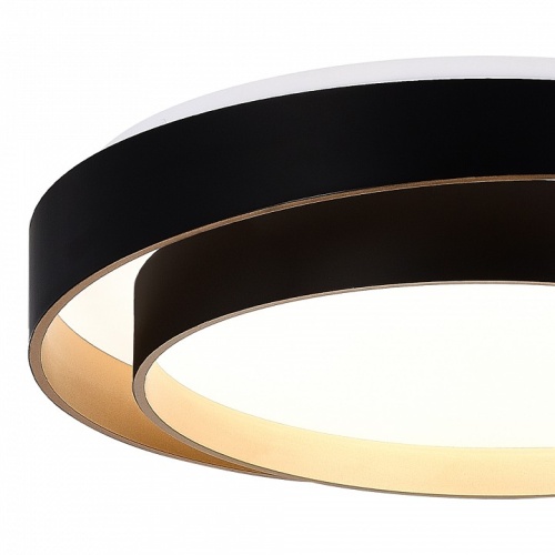 Накладной светильник EVOLUCE Crosby SLE6009-402-01 в Нижнем Новгороде фото 2