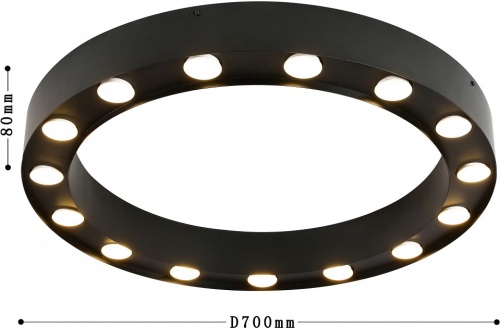 Накладной светильник Favourite Attica 3007-15U в Нижнем Новгороде фото 4