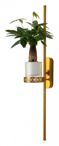 Бра Favourite Greenery 4050-2W в Нижнем Новгороде фото 4