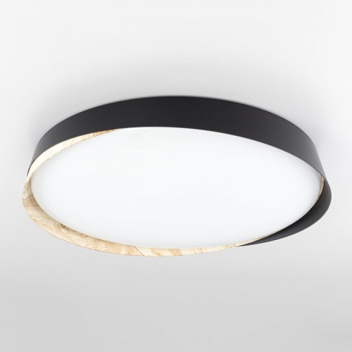 Накладной светильник Citilux BONNY CL754451G в Нижнем Новгороде фото 6