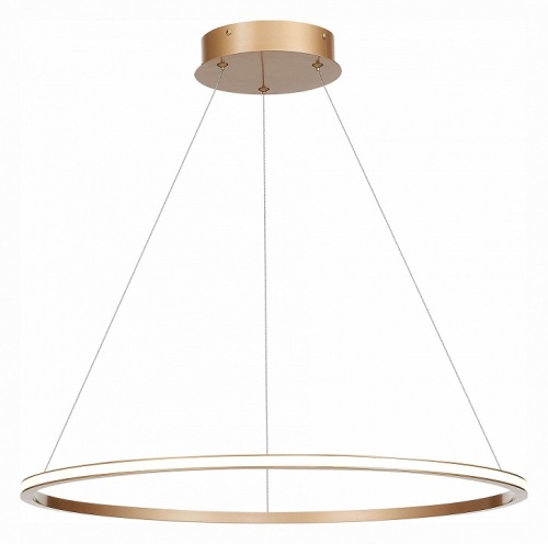 Подвесной светильник ST-Luce ST604 OUT ST604.243.34 в Нижнем Новгороде фото 2