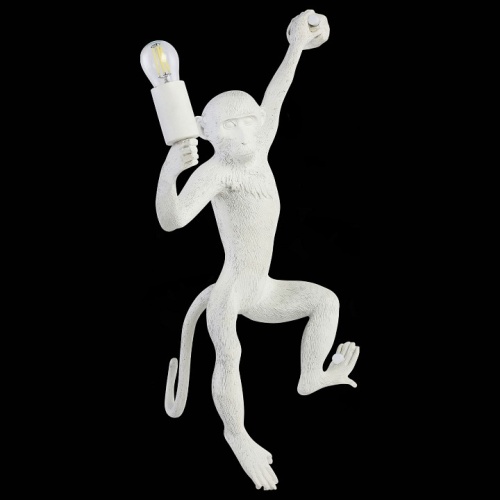 Накладной светильник EVOLUCE Tenato SLE115111-01 в Нижнем Новгороде фото 4