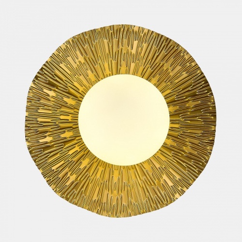 Накладной светильник EVOLUCE Lorea SLE1196-301-01 в Нижнем Новгороде фото 2