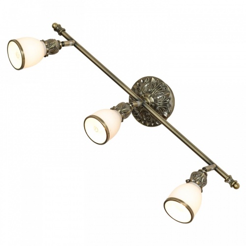 Спот Lussole Furlo GRLSL-7301-03 в Нижнем Новгороде фото 7