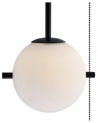 Светильник на штанге Loft it Signal 10029PS Black в Слободском фото 3