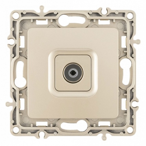 ТВ-розетка без рамки Arte Milano am-217 217.43-1.shampan в Нижнем Новгороде