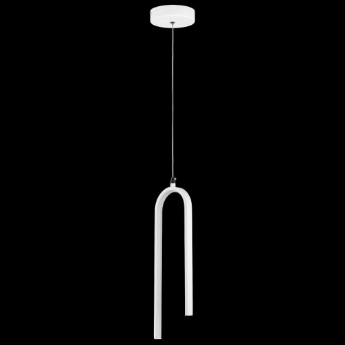 Подвесной светильник Lightstar Saturno 749016 в Нижнем Новгороде фото 10