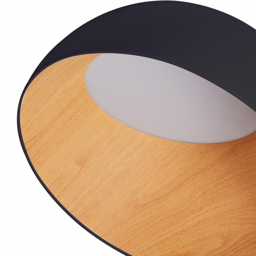 Накладной светильник Zortes Baum ZRS.01243.07 в Нижнем Новгороде фото 2