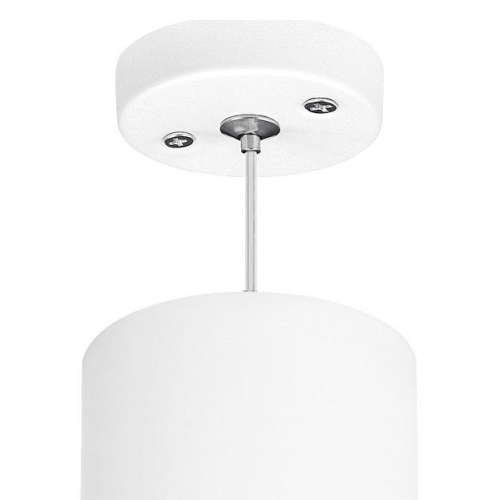 Подвесной светильник Lightstar Rullo RP649687 в Нижнем Новгороде фото 2