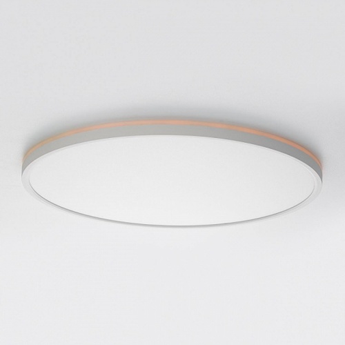 Накладной светильник Citilux NORMA CL749500 в Нижнем Новгороде фото 3