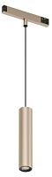 Подвесной светильник Denkirs SHINE PRIME SPOT Zigbee DK4944-CP в Нижнем Новгороде