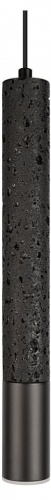 Подвесной светильник Loft it Everest 10583C Black в Нижнем Новгороде