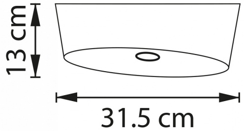 Накладной светильник Lightstar Celesta 809356 в Нижнем Новгороде фото 5