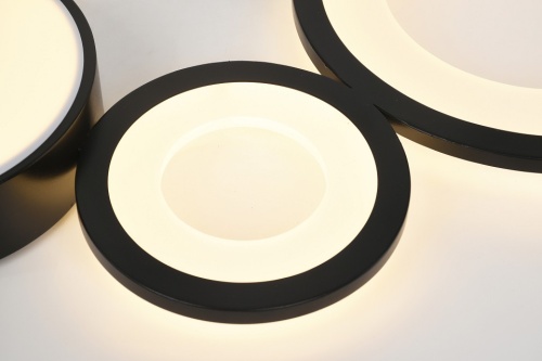 Потолочная люстра Rivoli Aliona Б0066468 в Нижнем Новгороде фото 8