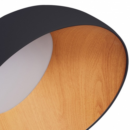 Накладной светильник Zortes Baum ZRS.01243.05 в Нижнем Новгороде фото 2