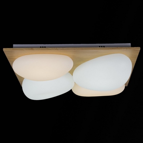 Потолочная люстра 10010-0.3-80W AEROLITE в Нижнем Новгороде