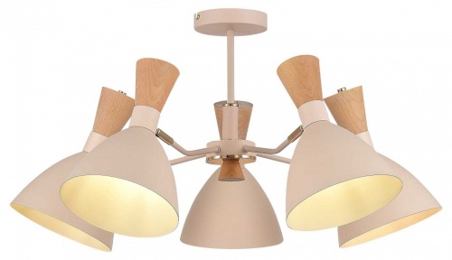 Люстра на штанге EVOLUCE VISTA SLE1256-502-05 в Нижнем Новгороде фото 10