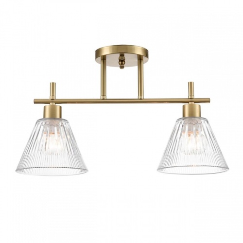 Светильник на штанге Lumion Vivian 8188/2C в Нижнем Новгороде фото 5