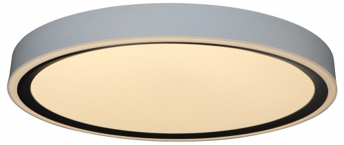 Накладной светильник Zortes Bella ZRS.1201.07 в Нижнем Новгороде фото 3