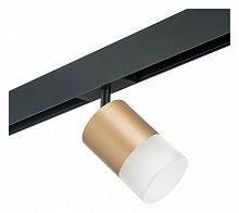 Светильник на штанге Lightstar Rullo PRO349081 в Нижнем Новгороде