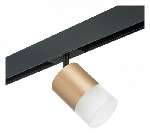 Светильник на штанге Lightstar Rullo PRO349081 в Нижнем Новгороде