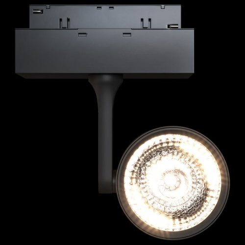 Светильник на штанге Maytoni Track lamps 3 TR024-2-10B3K в Новой Ляле фото 4