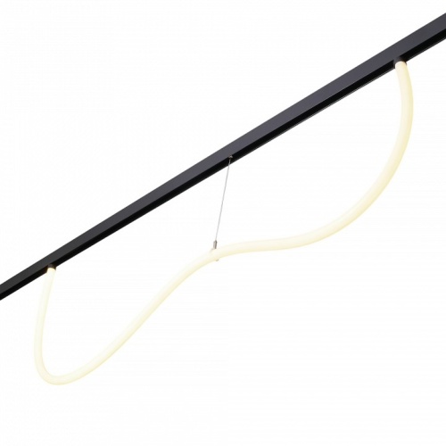 Подвесной светильник MyFar Technical MT0224-20W3K-S-B в Нижнем Новгороде фото 2